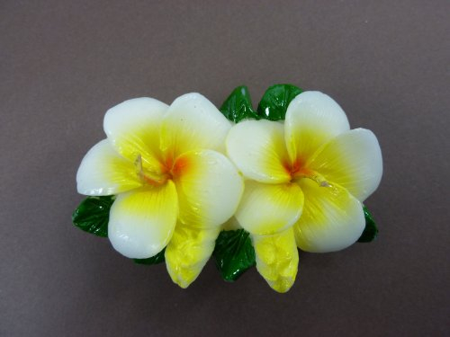 Bella-Vita GmbH Kerzenset Doppelblüte weiß-gelb im 4er-Set