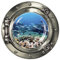 Wandkings Wandsticker Bullauge „Unterwasserwelt - Lebendiges Riff - 40 x 40 cm SILBER