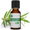 Voshuiles - Huile Essentielle Romarin à Verbénone Bio 20ml - Parfum Frais - Nombreuses Vertus - Huiles Essentielles de Qualité - 100% Pure et Naturelle - HEBBD et Certifiée ECOCERT