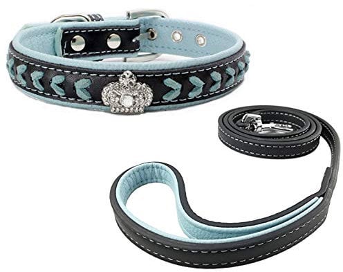 Newtensina Hundehalsband und Leine Set Nylonbänder gewebter Bling Kragen Leder Diamante Welpen Halsband mit Leinen für Hunde - Blue - L