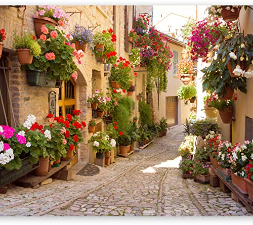 Fototapete murando 250x175 cm Vlies Tapeten Wandtapete XXL Moderne Wanddeko Design Wand Dekoration Wohnzimmer Schlafzimmer Büro Flur Italien Toskana Gasse Stadt Ziegel Blumen d-B-0136-a-a