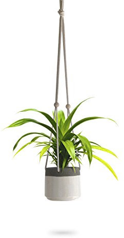 Ceramic Hanging Planter | White Gray Succulent Pots | Round Plant Holder Container | Cactus Pot with Cotton Rope Hanger | Indoor Outdoor Decor | 23 Bees (1 Pack x White)