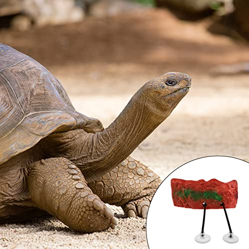 POPETPOP Klettern Sonneninsel Frösche Haustier Terrarium Kleine Pier Schildkröte Schildkröten Spiel Frosch Terrasse Ornament Xxcm Tank Brasilianischer Schaum Schwimmend Aalen Dock
