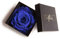 Unvergängliche Rose Infinity Rosenbox Danke Geschenk Merci (1 Rose, Blau)