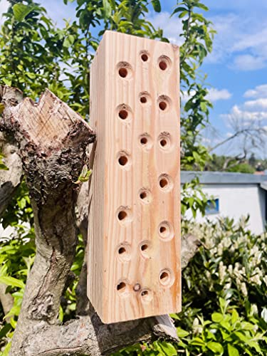 DARLUX Wildbienen - Insektenhotel Nisthilfe Hartholz Stamm Massivholz Naturbelassen 300 mm Insektenstamm Wildbienenhotel