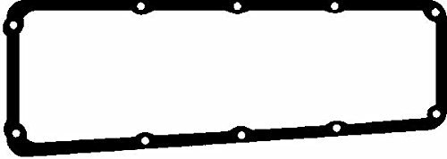 Reinz 71-24489-10 Dichtung, Zylinderkopfhaube