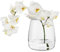 TREND FOR HOME Jarrón Cristal A: 17 cm Jarrones de Cristal para Flores Florero Cristal Jarrón Flores Jarrones Decorativos Modernos Vasos Jarrón Decorativo Jarron Vidrio | ⌀ 11.9 cm | Zinnia