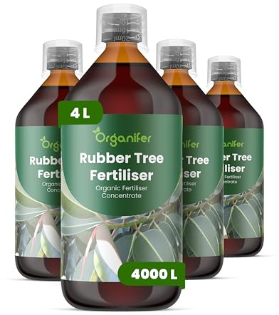 Flüssigdünger Für Gummibäume - 4x1L - NPK 2-1-8