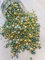 Metallic/Shimmer Balls Edible Cupcake Cake Topper Sprinkles (90G Tub) (Green and Gold Mix)