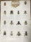 Generisch Papierplakat/Lehrtafel -Unsere Bienen- DIN A2, 42 x 59,4 cm Daniela Rescher naturgetreu illustriert Poster Imker Imkerei,Bienen