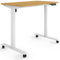 ESMART Germany ETX-121WBA 100 x 60 cm Bambus Dekor Ergonomischer Steh-Sitz-Schreibtisch auf Rollen Stufenlos elektrisch höhenverstellbar 78,5-128,5 cm 3X Memory Aktivitätserinnerung Soft-Start/Stopp