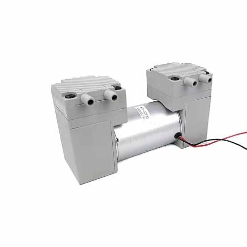 LeTkingok 12V 220V Small Silent Positive and Negative Pressure Large Flow Beauty Instrument Diaphragm Double-Head Vacuum Air Pump 8L/MIN (12V)