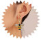 Dervivea Boho Gold Biene Ohrringe Biene Baumeln Reif Ohrringe Kristall Biene Tropfen Ohrringe Niedlich Cz Biene Reif Ohrringe Hummel Tier Ohrringe Schmuck Für Frauen