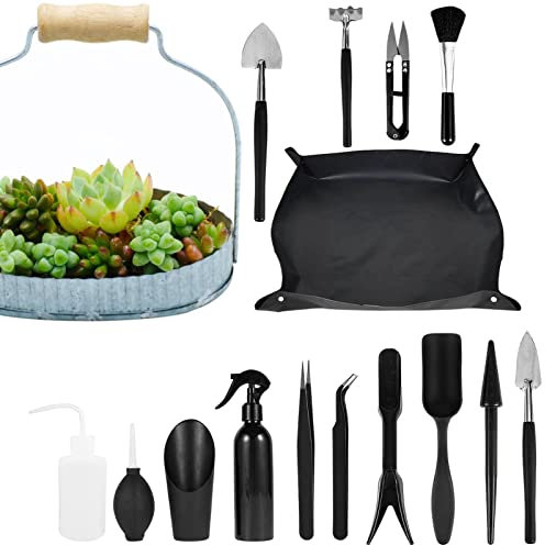 JINGAN terrario | 16 Herramientas para Plantas Interior | jardinería pequeñas Kit Herramientas suculentas, Herramienta jardín Flores en Maceta para Plantas