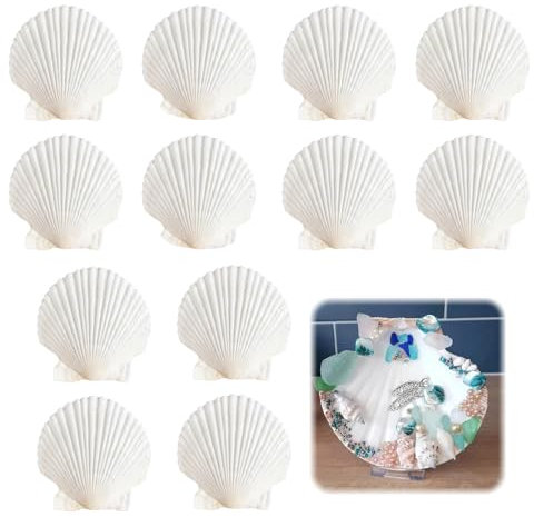 WJWINER Lot de 20 Coquilles Saint Jacques, Coquillage Décoration, Blanc Décorations de Coquille, Coquilles Saint-Jacques Naturelles, pour Mariage de Plage et Océan Crafts la Décoratio(6-8cm)