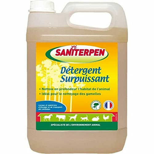 Action Pin Saniterpen Détergent Surpuissant Kraftreiniger, 5 l