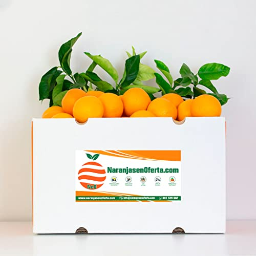 NARANJAS DE MESA DE VALENCIA, DEL ÁRBOL A TU MESA EN 24 H. (15 KILOS)