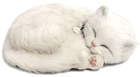 Perfect Petzzz 4934 Cat Plush – White