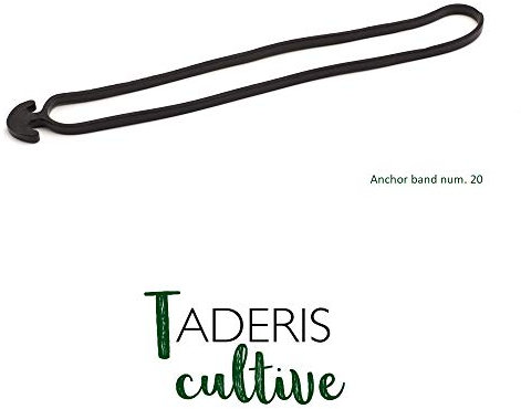 Taderis Cultive Ancre élastique en caoutchouc n° 20 Sachet de 125 unités. Caoutchouc EPDM
