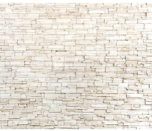 decomonkey - Papier Peint Panoramique Arrière-plan 450x315 cm - Décoration murale moderne – Tapisserie décorative pour chambre salon - Art mural unique design tendance