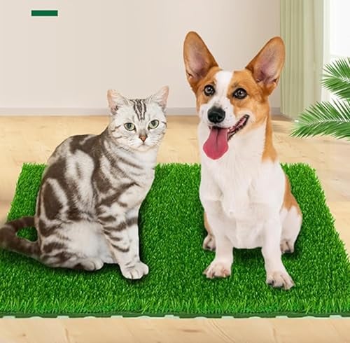 GOVNPJ Alfombra de Césped Artificial de para Perros, Césped Falso para Perros, área de Entrenamiento para Patio, Decoración de Césped para Interiores y Exteriores, 50 x 60 cm