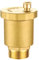 Vent Valve Golden Multipurpose Sturdy Brass Fully Automatic Exhaust Valve for Boiler Radiator Solar Water Heater Water Tank