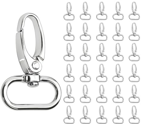 PaYuanRaoTi 30PCS Schlüsselanhänger D-Ringen 20mm, Karabiner Schlüsselanhänger für Unterschiedliche Anwendungen, Carabiners für Taschen und Bänder, Schlüsselringe mit Karabiner für Alltag und Hobby