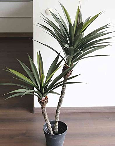 artplants.de False Yucca Palm DEWEY, 115 cm