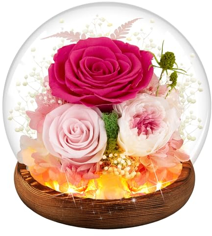 Ewige Rose im Glas Mit LED-Licht - Konservierte Echte Blume, Infinity Rose Geschenk für Frauen, Valentinstag, Jahrestag, Muttertag (Rosa)