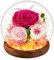 Ewige Rose im Glas Mit LED-Licht - Konservierte Echte Blume, Infinity Rose Geschenk für Frauen, Valentinstag, Jahrestag, Muttertag (Rosa)