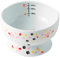Necoichi Raised Cat Water Bowl, Elevated, with Measurement Lines, Dishwasher and Microwave Safe, No.1 Seller in Japan! (Cherry Blossom Limited Edition, Regular)