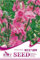 Rittersporn Seed 30 Rocket-Rosa Blumen-Samen Consolida Spitze mögen nette Anlage HOT A173 von Mikedaoer