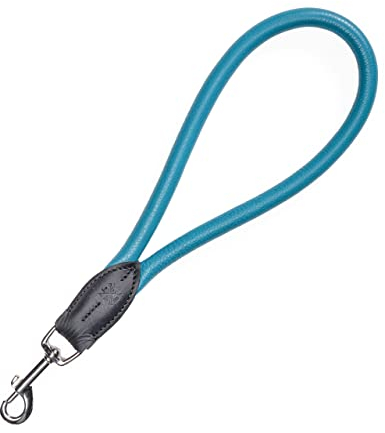 Kurzführer Leder Hundeleine Bear 30cm - Kurze Echt-Leder Leine rundgenäht – Hunde Lederleine kurz Bear (Türkis/Schwarz)