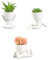 AYAROS 3 fioriere per piante grasse a forma di umana, graziose fioriere in ceramica per piante grasse, piccoli vasi da fiori, decorazione da scrivania, per casa, ufficio, interni ed esterni