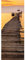 Türtapete selbstklebend TürPoster 3D Bewirken Fototapete Türfolie Poster Tapete Abnehmbar Wandtapete für Wohnzimmer Küche Schlafzimmer 77X200cm (Sonnenuntergang)