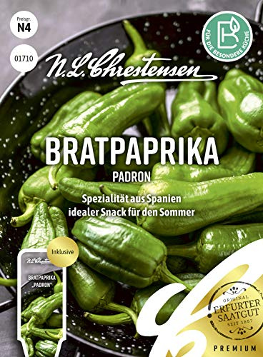 Bratpaprika Padron, Spezialität aus Spanien, Samen