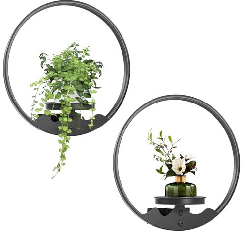 Aunulahca Round Picture Frame Wall Plant Holder Black Wall Hanging Planters Metal Window Plants Shelf Plant for Indoor Outdoor Garden Rockery Decoration 2 Pack