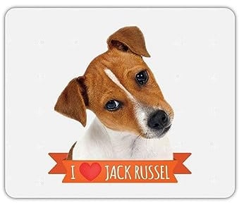 Mygoodprice Tapis de Souris Rectangle imprimé Jack Russel