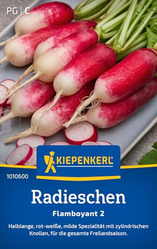 Kiepenkerl Radieschensamen Flamboyant 2 1010600, Gemüsesaat | Milde Spezialität mit zylindrischen Knollen, für Beet, Hochbeet & Freiland