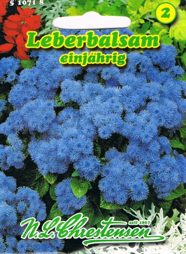 Leberbalsam einjährig, Dauerblüher, für Beet-, Rabatten-, Grab- und Balkonbepflanzung (Ageratum houstonianum)
