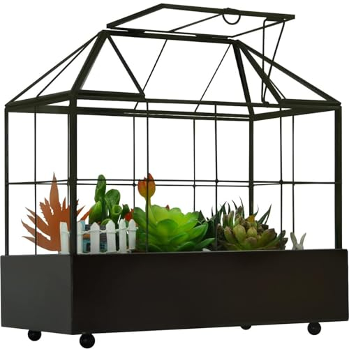 YIMORENCE V Großes Hohes Glas-Terrarium, Gewächshaus Mit Deckel Und Tablett für Den Innenbereich - Für Orchideen, Sukkulenten, Kakteen - 24 x 24 x 14 cm