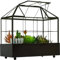 YIMORENCE V Großes Hohes Glas-Terrarium, Gewächshaus Mit Deckel Und Tablett für Den Innenbereich - Für Orchideen, Sukkulenten, Kakteen - 24 x 24 x 14 cm