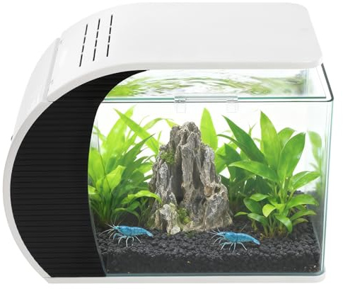 Aquarium Komplettset 19L 42x23 x31.5cm Fish Tank mit Aquarium Pumpe mit LED Beleuchtung (3-Farben) Glasaquarium mit Verborgen-Filter & Gebogen Frontscheibe