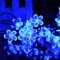 KINGCOO Solarlampen Blumen Schnur Lichter Außen, Wasserdicht 23ft/7m 50 LED Pfirsichblüte Kirschblüte Solar Lichterkette für Gärten Häuser Hochzeit Weihnachtsfeier Dekorationen(Blau)
