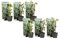 Plant in a Box - Hydrangea 'Petiolaris' - Set de 6 - Hortensia climática - Maceta 9cm - Altura 25-40cm