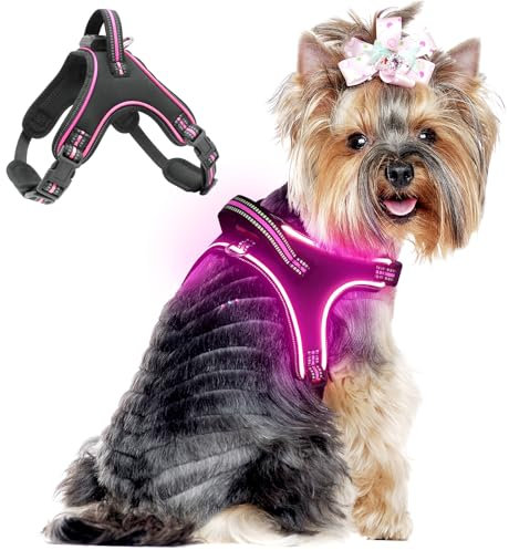 Light Up Hundegeschirr Leuchtend Aufladbar, LED Hundegeschirr mit Griff, Reflektierende Brustgeschirr für Bleiben Sie Nachts Sicher für Mittel Klein große Hund (Rosa, S)