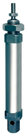 RIEGLER 105760-1.DM.10080 Rundzylinder, doppeltwirkend, Magnet, Kolben-Ø 10, Hub 80, M5, 1Stk