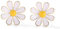 Oivzziy Clous d'oreilles en marguerite fleur pour femme en argent sterling 925 en plaqué or, Boucles d'oreilles en pâquerette