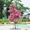 Rosa Lagerstroemia Samen 1000 Kreppmyrte Blumensamen Geschenk Balkonpflanzen Lagerstroemia Indica Baum Kletterpflanzen Blumenbeet Schnittblumen Samen FrüHlingsblumen