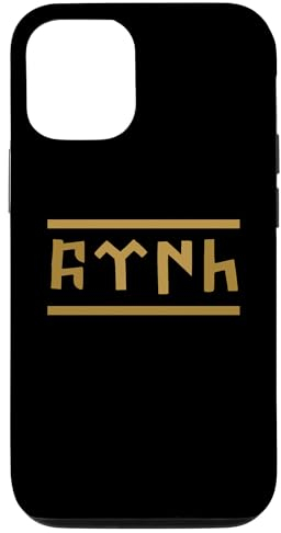 Hülle für iPhone 13 Pro TÜRK Schrift - Bozkurt - Göktürk - Göktürkce TÜRK (türkisch)